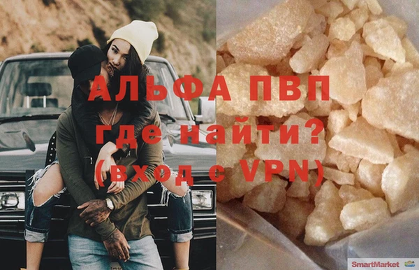 PSILOCYBIN Гусев