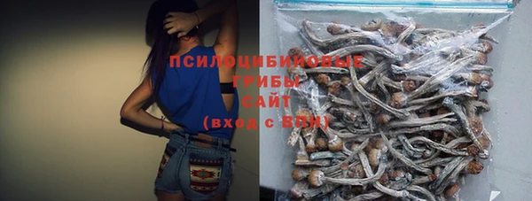 хмурый Няндома