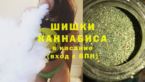 PSILOCYBIN Гусев