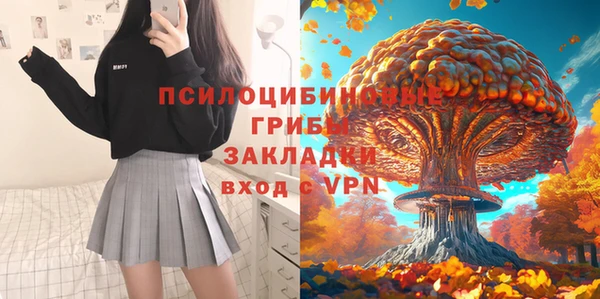 Альфа ПВП Медвежьегорск