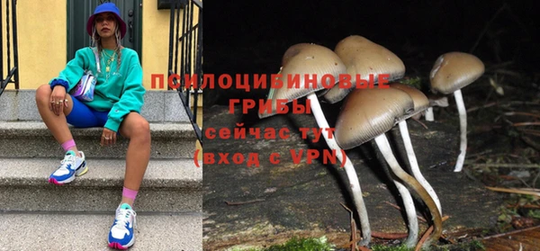 PSILOCYBIN Гусев