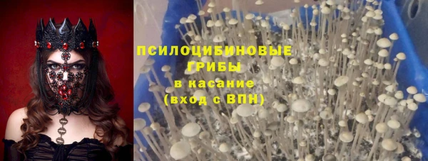 PSILOCYBIN Гусев