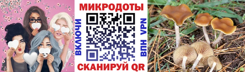 Псилоцибиновые грибы Psilocybine cubensis  Кубинка 