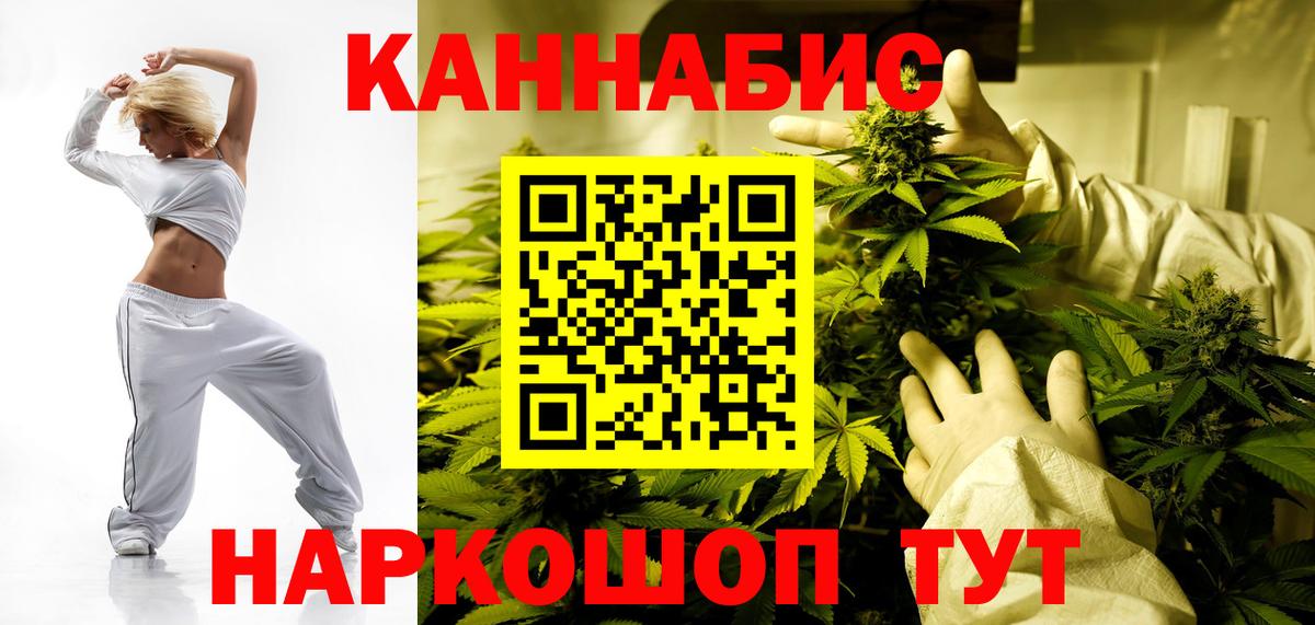 Бошки Шишки планчик Кубинка